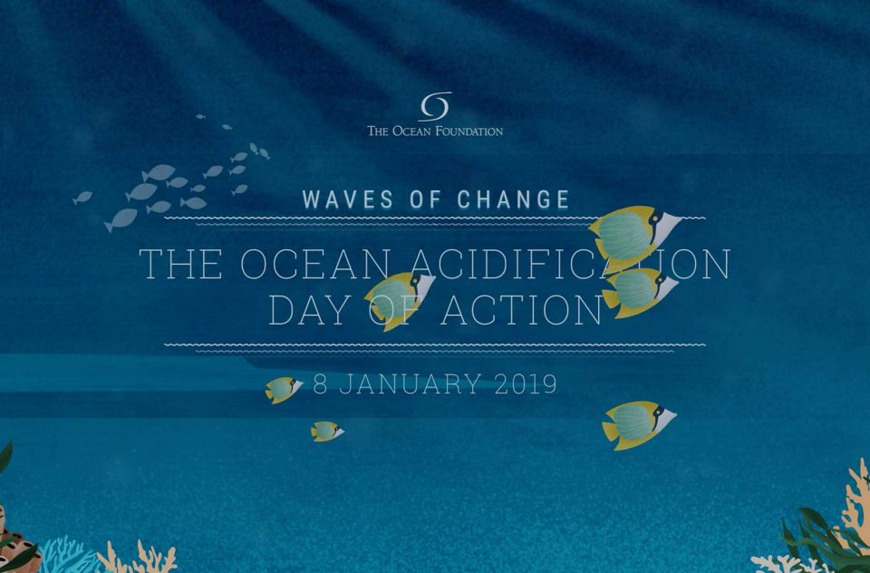 The Ocean Foundation